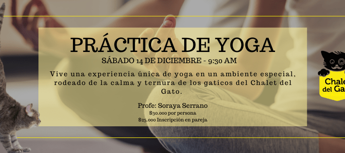 Práctica de Yoga